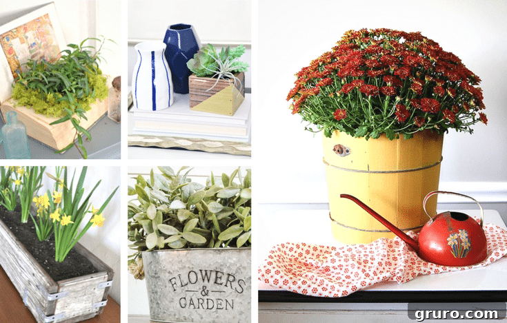 Stunning DIY Rustic Planters for Farmhouse Decor and Gardening