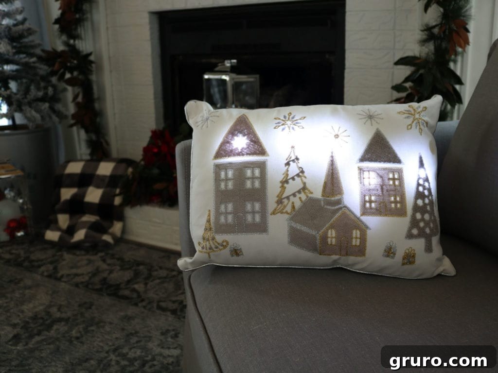 BHG Holiday Pillow led lights 