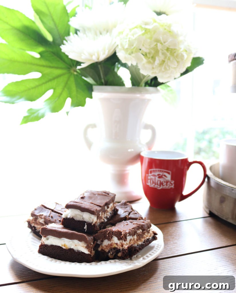 coffee and dessert bar - Mississippi Mud cake recipe and Folgers Pairing