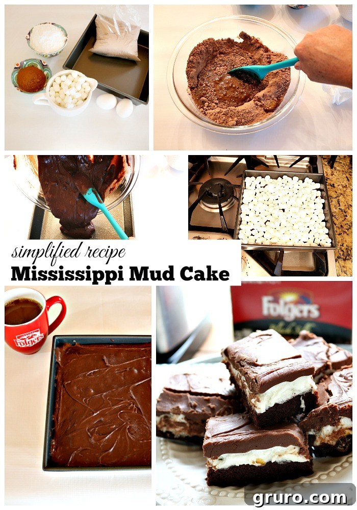 Mississippi mud cake simplified recipe and coffee pairing