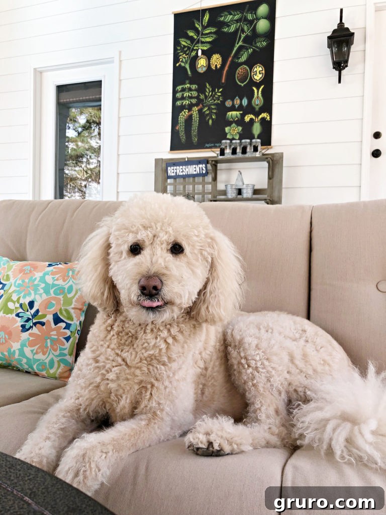 Relaxing porch setup with comfortable seating