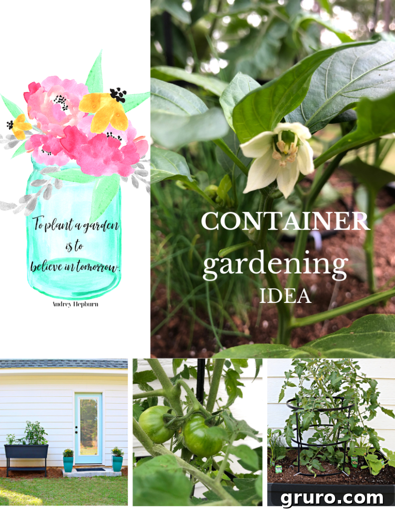 Small Space Gardens 2 Container gardening is easy and accessible for all