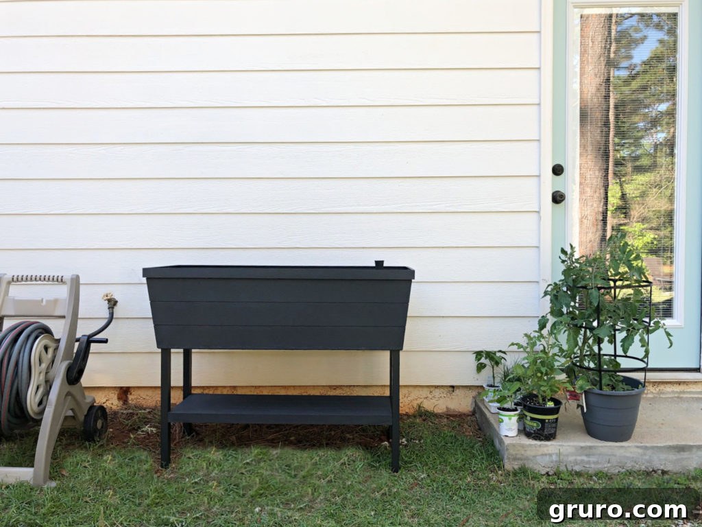 Small Space Gardens 5 Well-maintained container garden idea with healthy plants