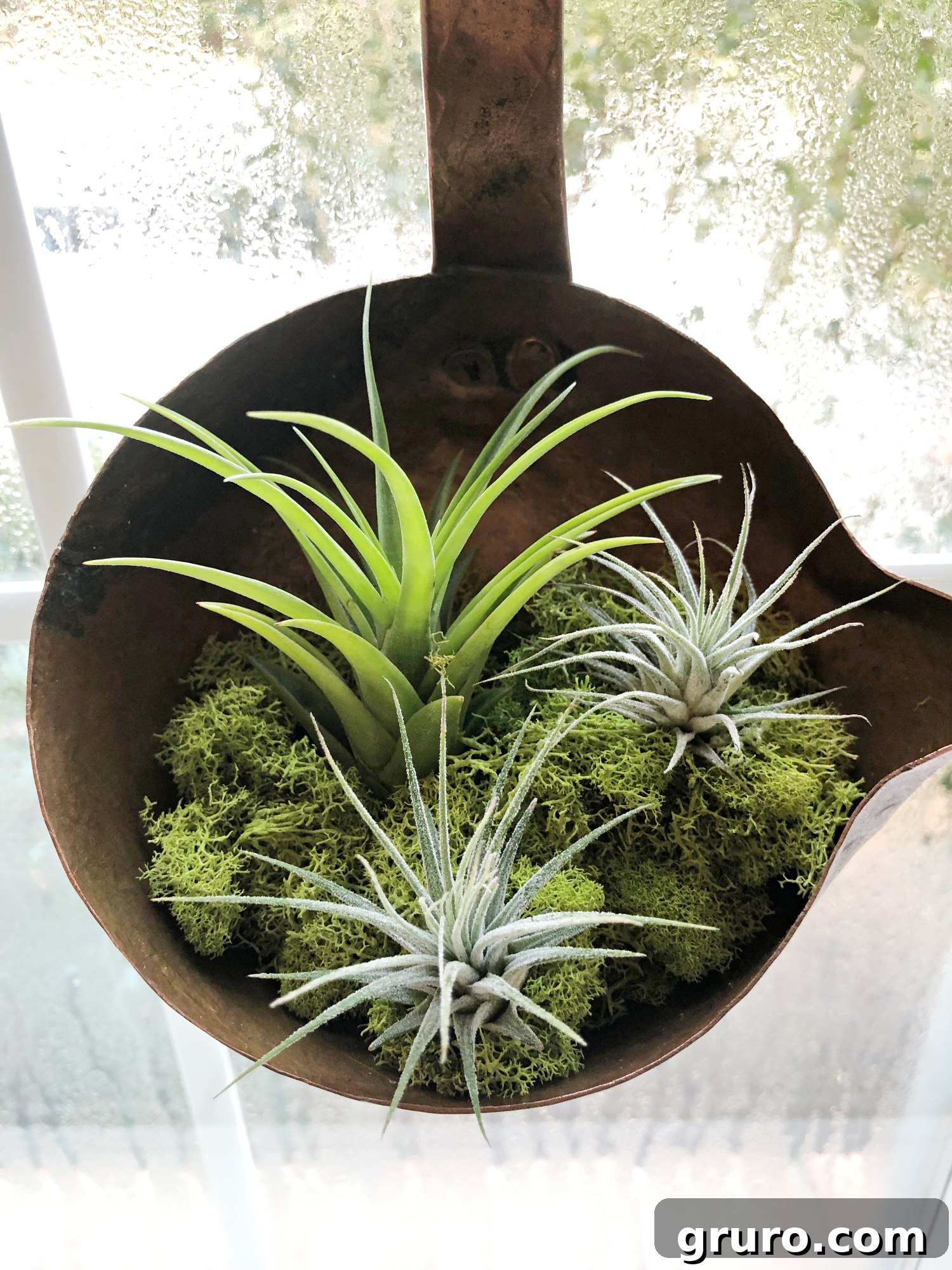 Chic Brass Planter on a Budget 2 Thrifty Brass Plant Holder Idea - Brass Ladle