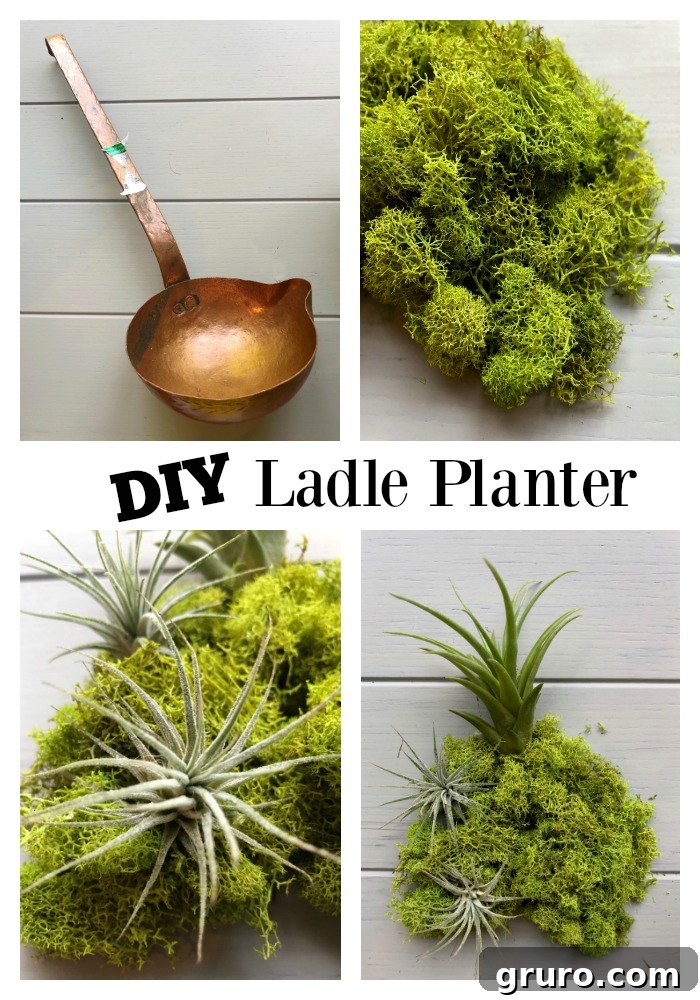 Chic Brass Planter on a Budget 4 DIY Ladle Planter for Air Plants