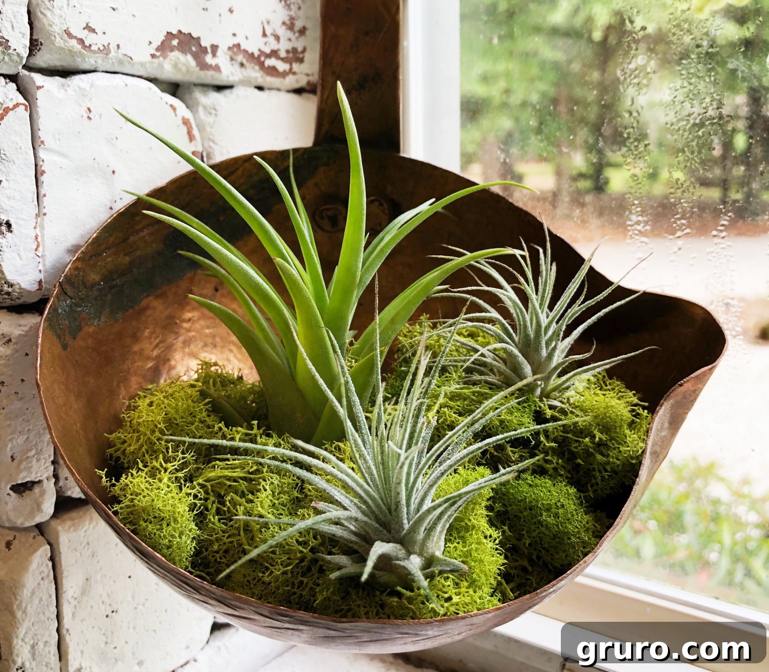 Chic Brass Planter on a Budget 5 ladle brass planter