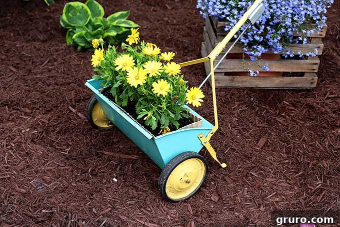 Repurposed Yard Sale Finds for The Garden, like a seed spreader planter