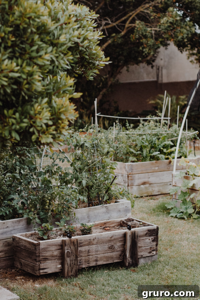 Small Yard, Big Impact: 5 Landscaping Secrets 3 Close-up of decorative pebbles in a garden design
