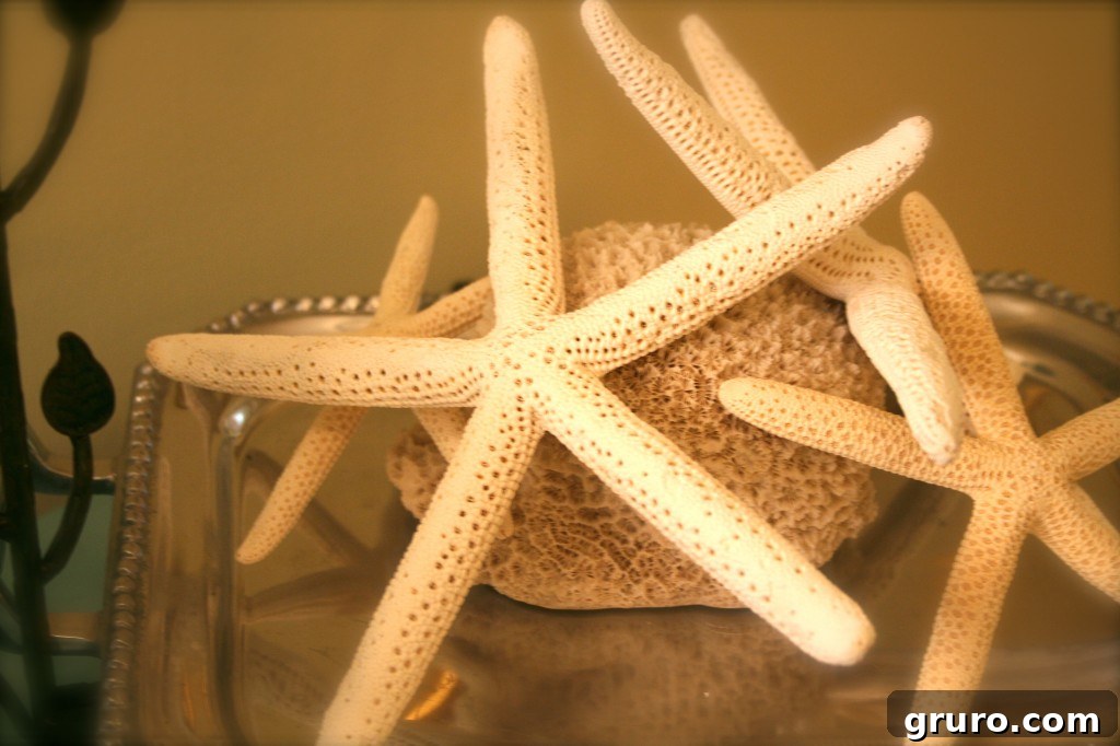 Beachy decor items collected from Amelia Island trip