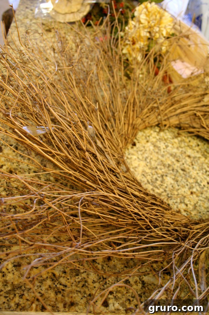 Empty round grapevine wreath base, ready for decoration