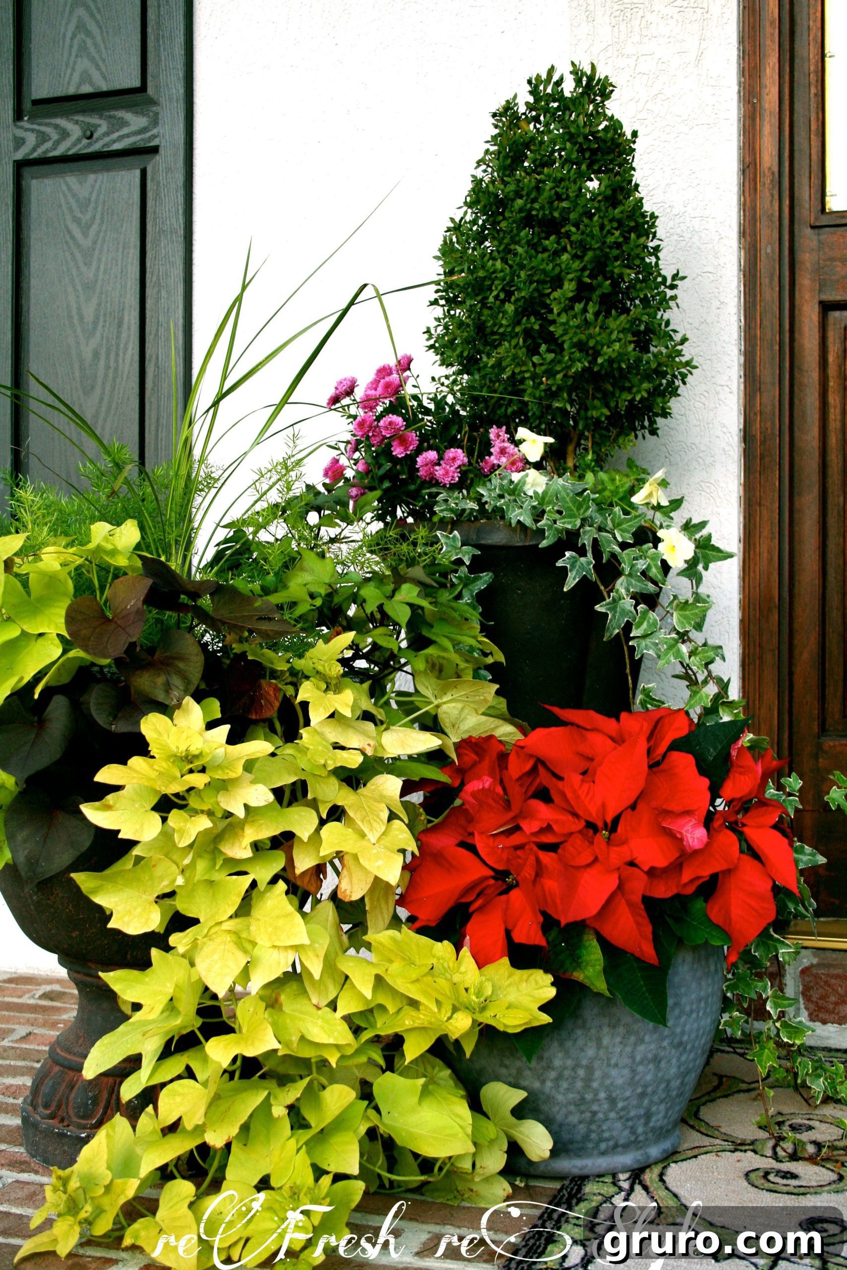 Left side of a charming front door decorated with red poinsettias and existing green plants