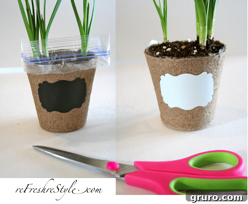 Close-up of various reusable plant labels, including chalkboard and vinyl options