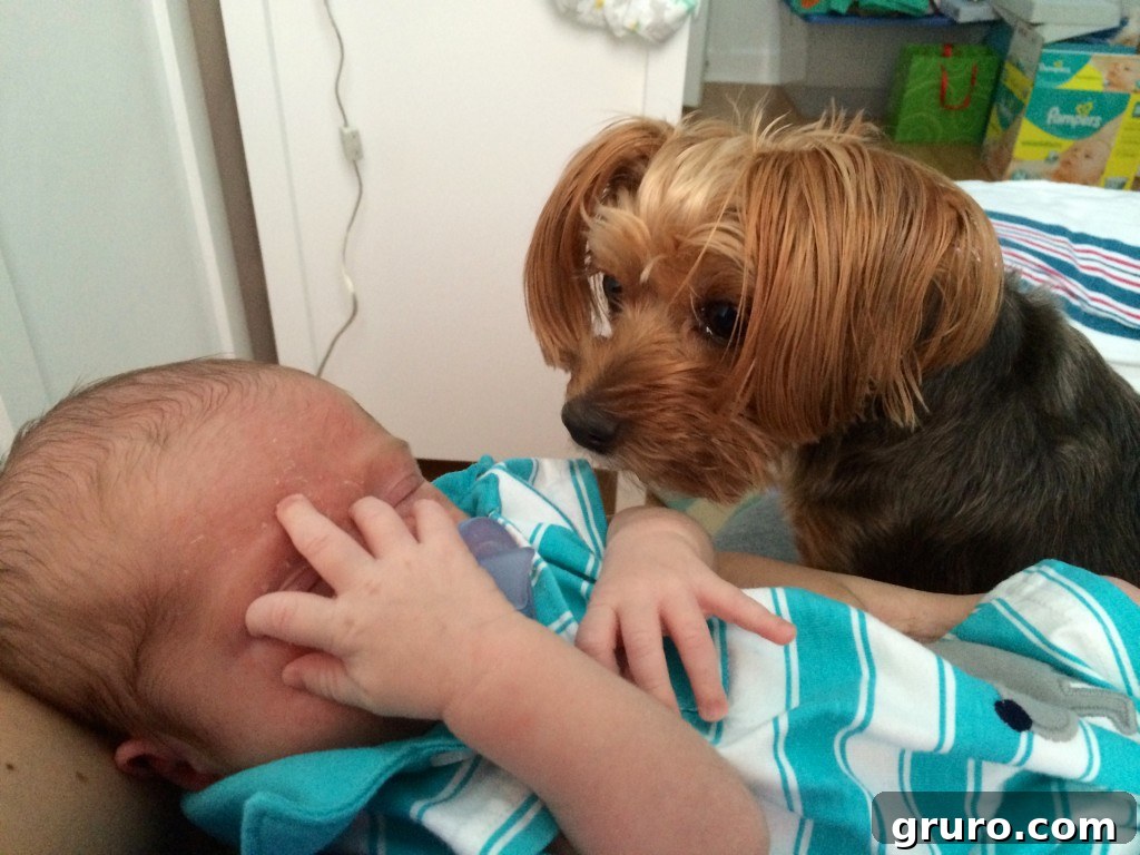 3-Month Progress Update: What Changed and What's Next 19 a dog and her baby!