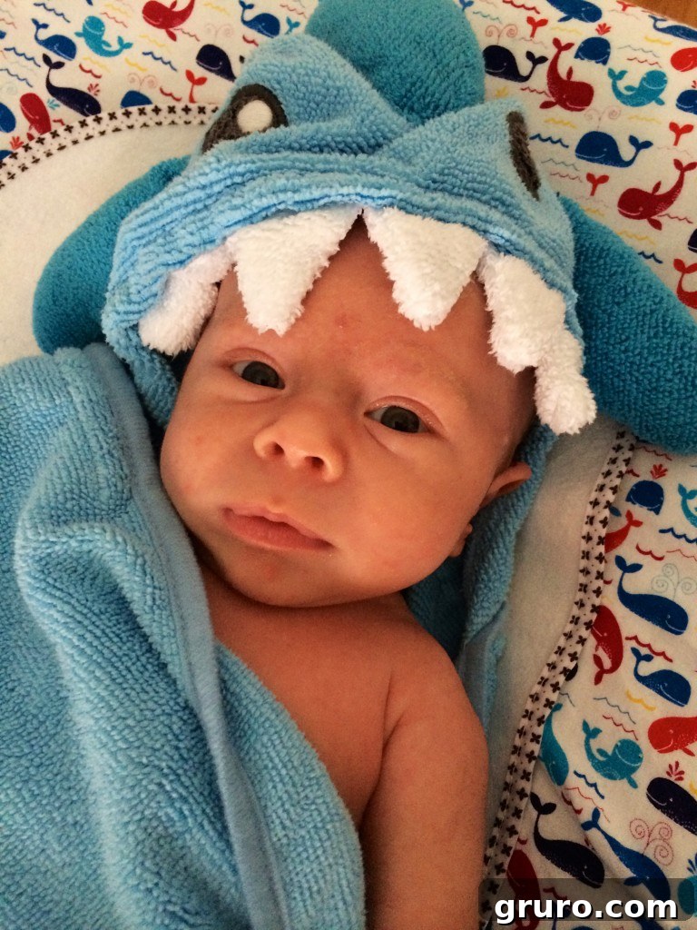 3-Month Progress Update: What Changed and What's Next 24 baby shark boy!